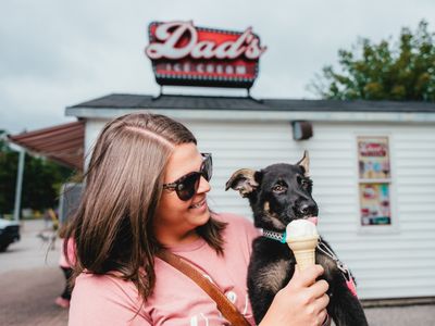 Dog-Friendly Travel in Oxford